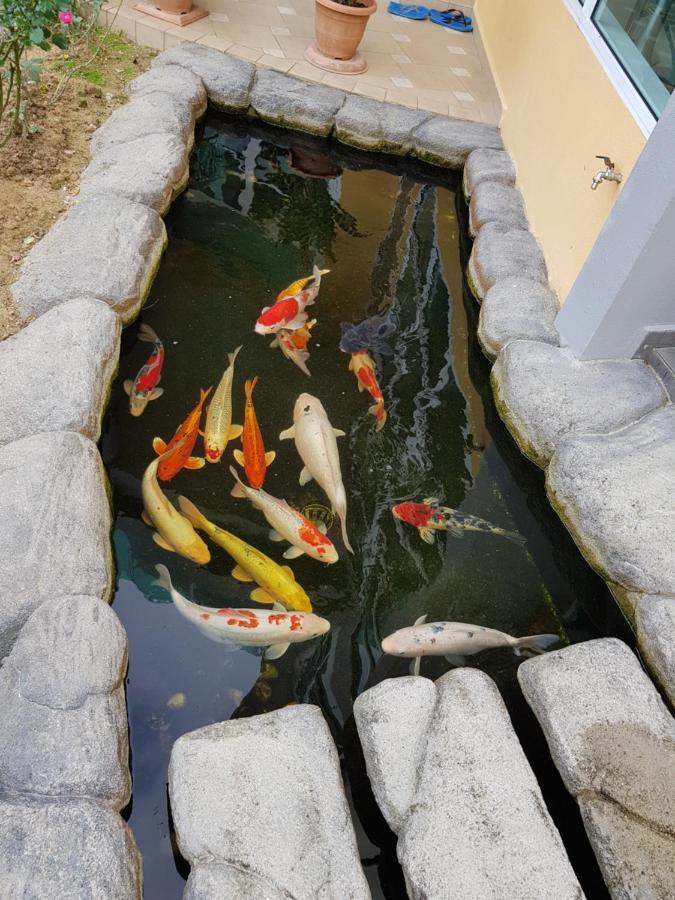 Rumah percutian Crystal Cameron Vacation